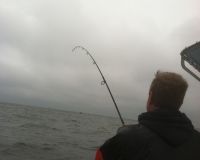 jersey devil fishing 14 20200528
