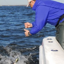 jersey devil fishing 34 20200528