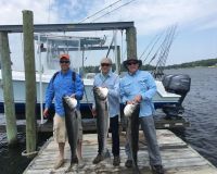 jersey devil fishing 34 20200528