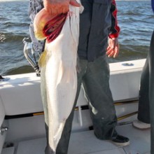 jersey devil fishing 46 20200528